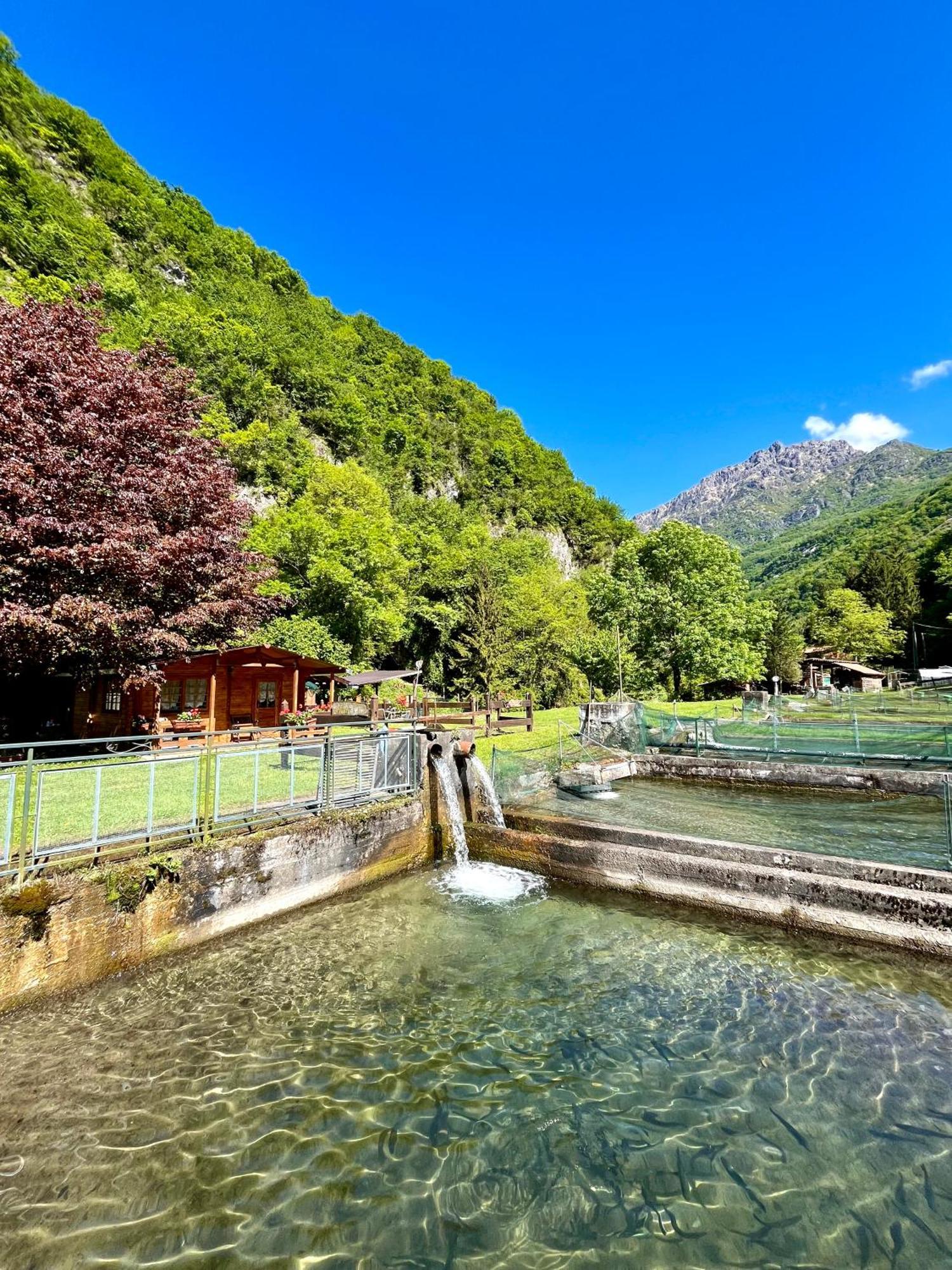 Agriturismo La Vecchia Chioderia Grandola ed Uniti Eksteriør bilde