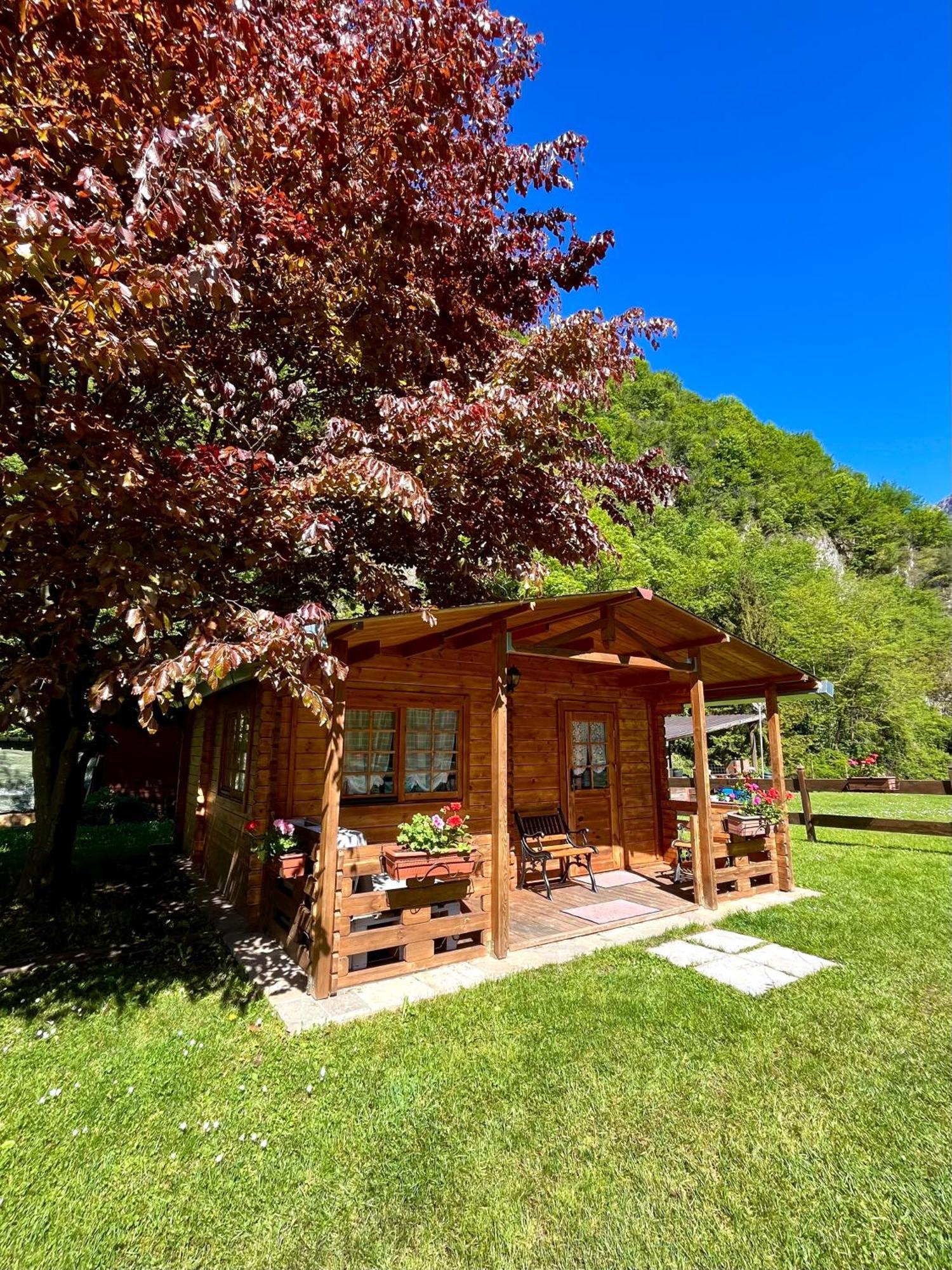 Agriturismo La Vecchia Chioderia Grandola ed Uniti Eksteriør bilde