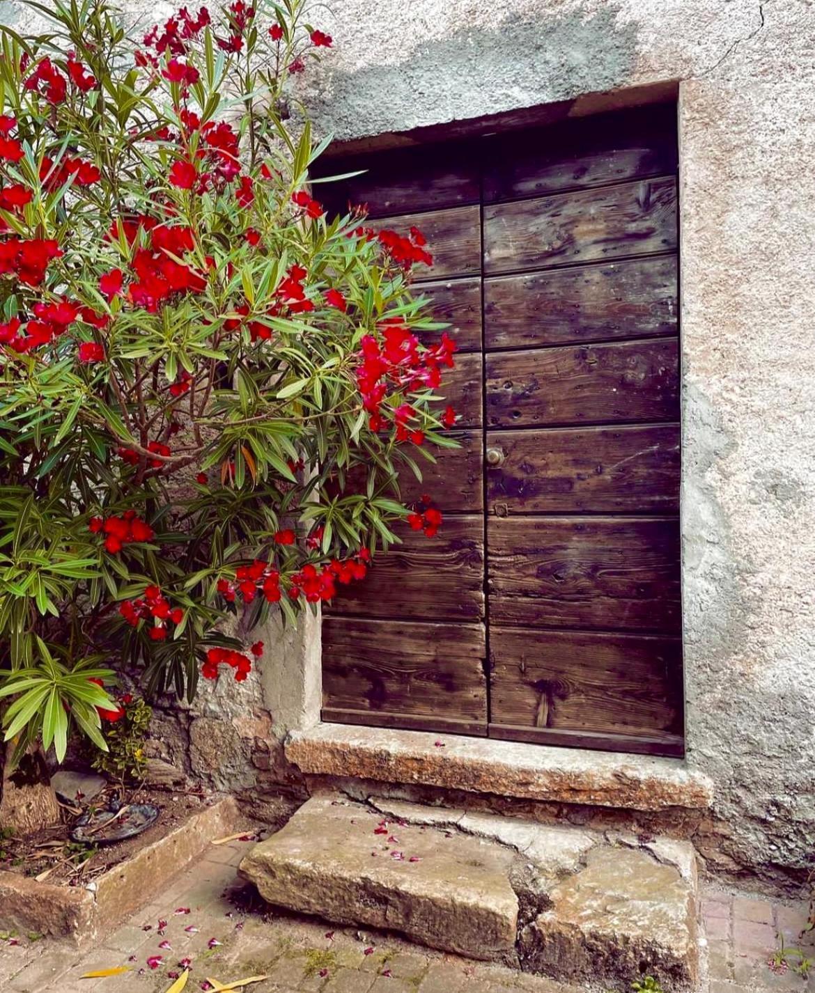 Agriturismo La Vecchia Chioderia Grandola ed Uniti Eksteriør bilde