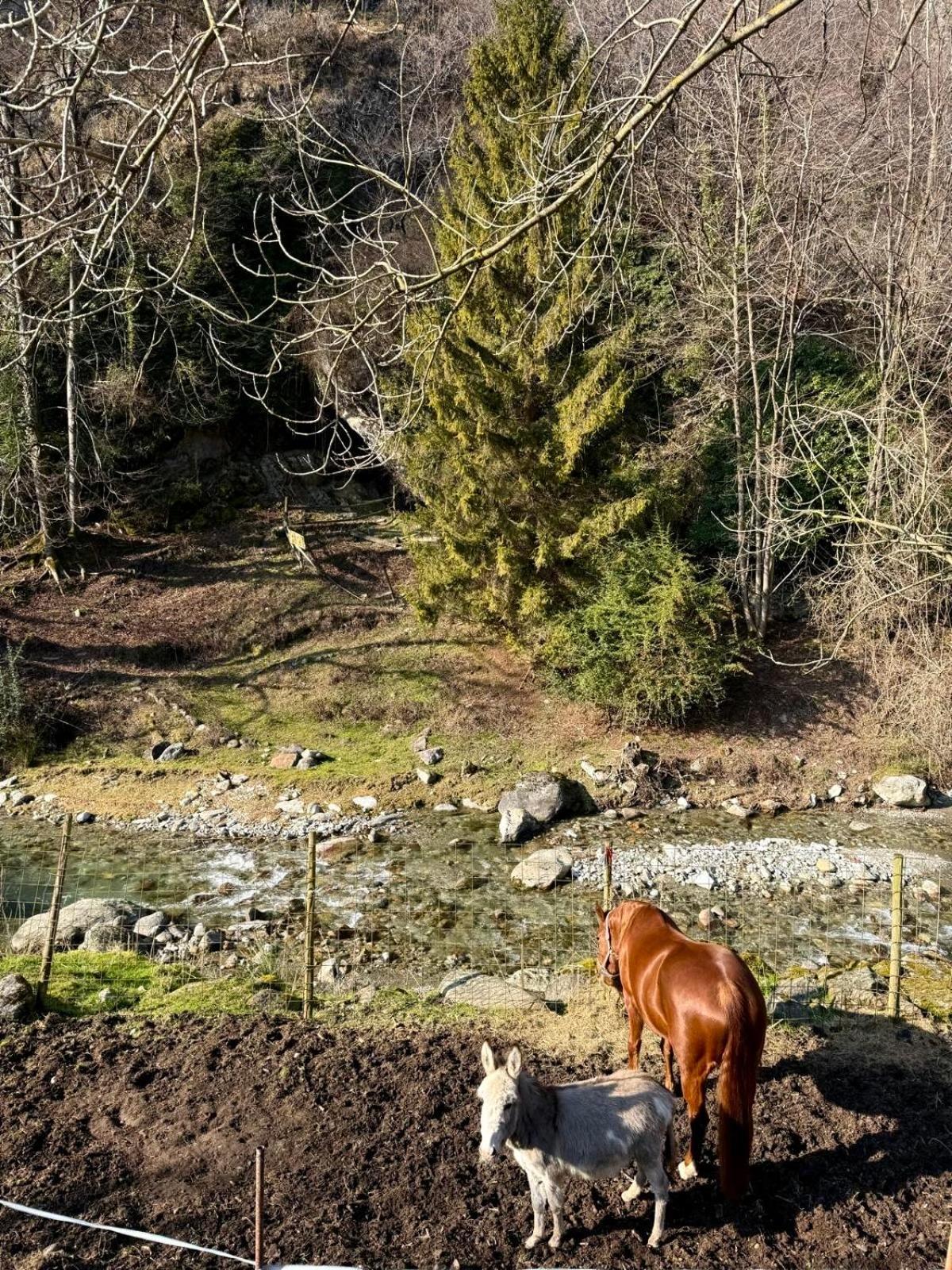 Agriturismo La Vecchia Chioderia Grandola ed Uniti Eksteriør bilde
