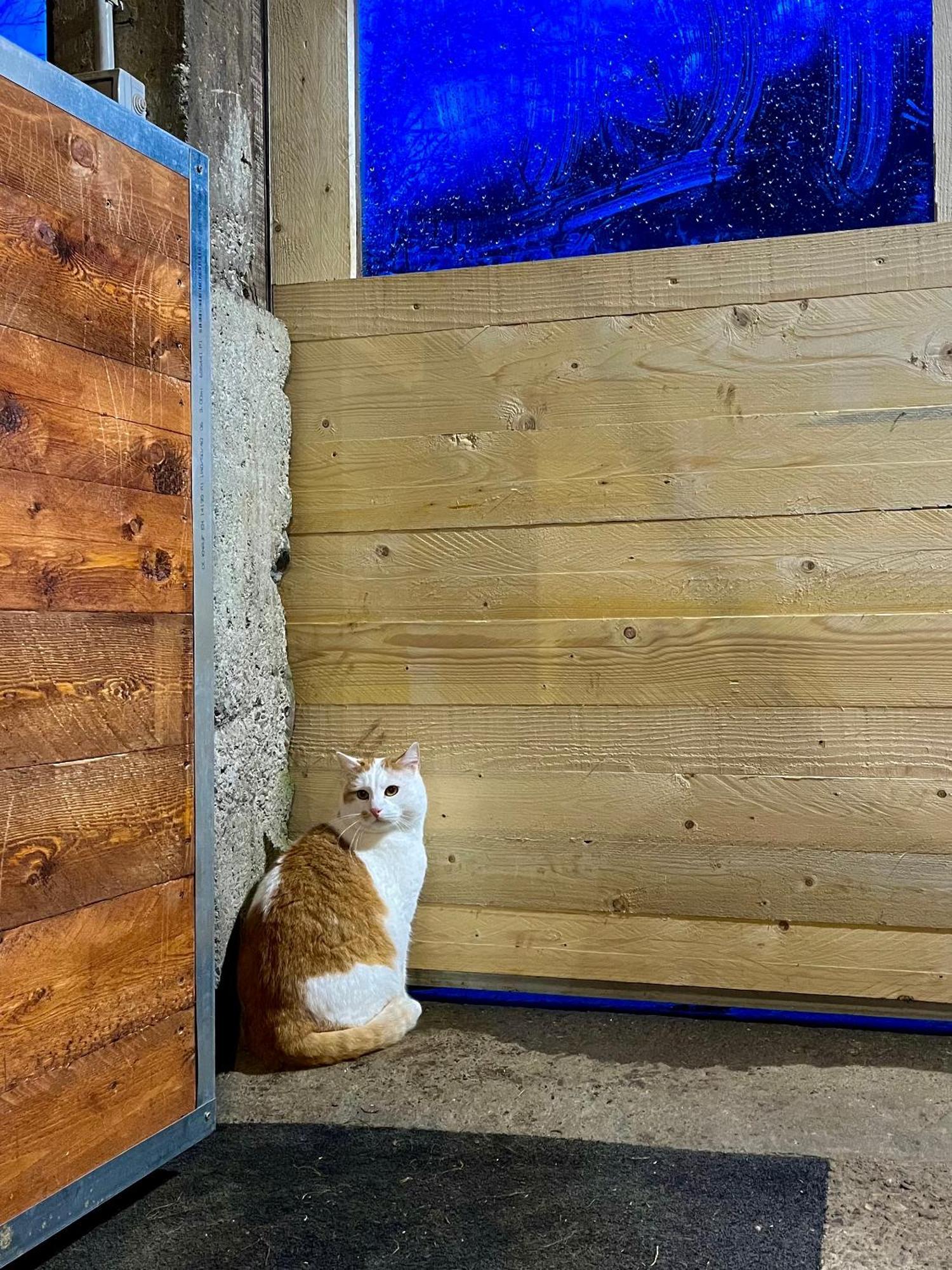 Agriturismo La Vecchia Chioderia Grandola ed Uniti Eksteriør bilde