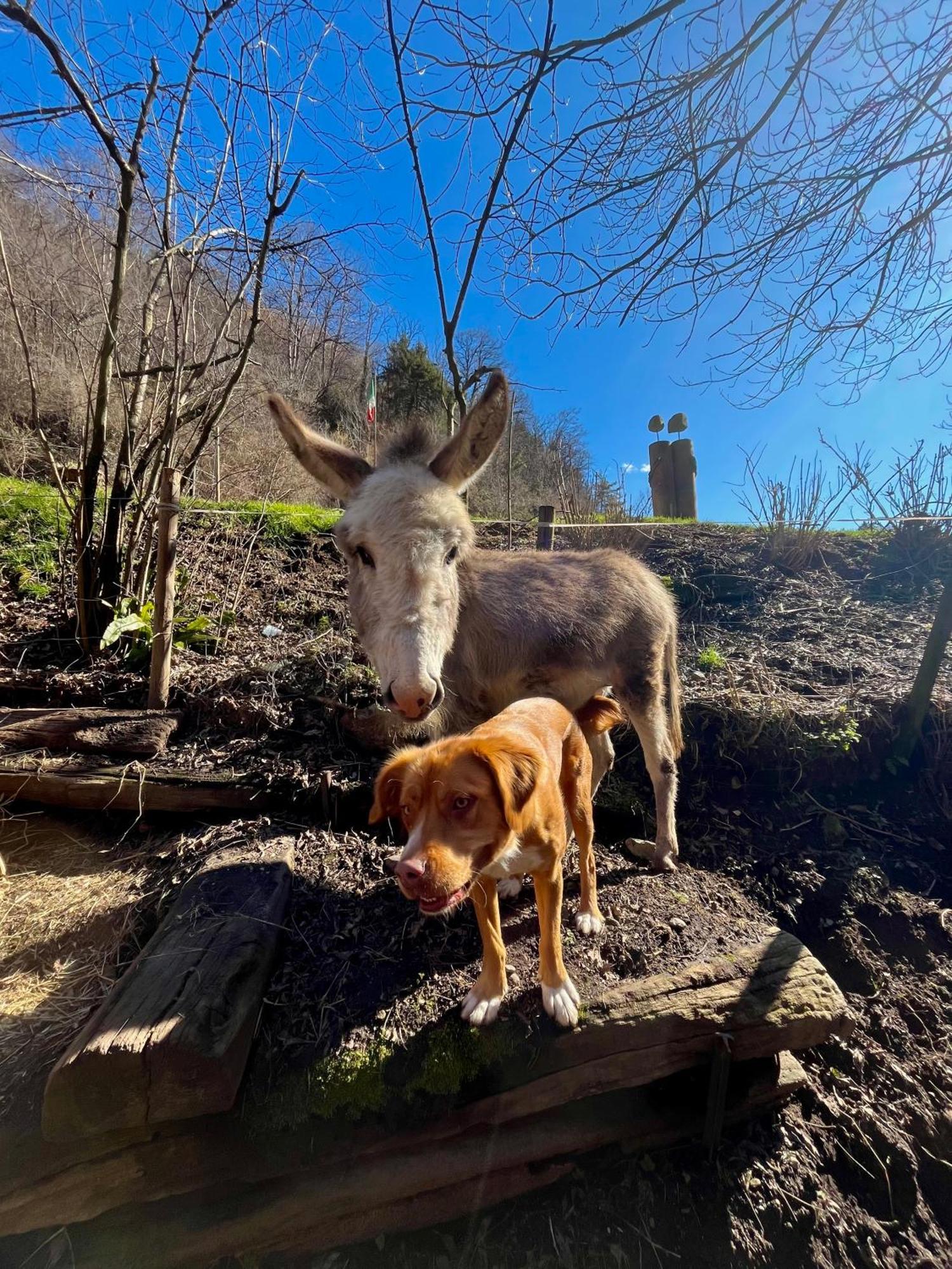 Agriturismo La Vecchia Chioderia Grandola ed Uniti Eksteriør bilde