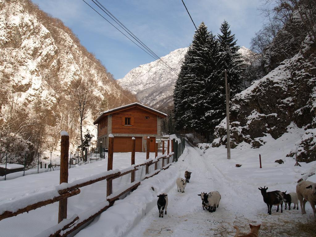 Agriturismo La Vecchia Chioderia Grandola ed Uniti Eksteriør bilde