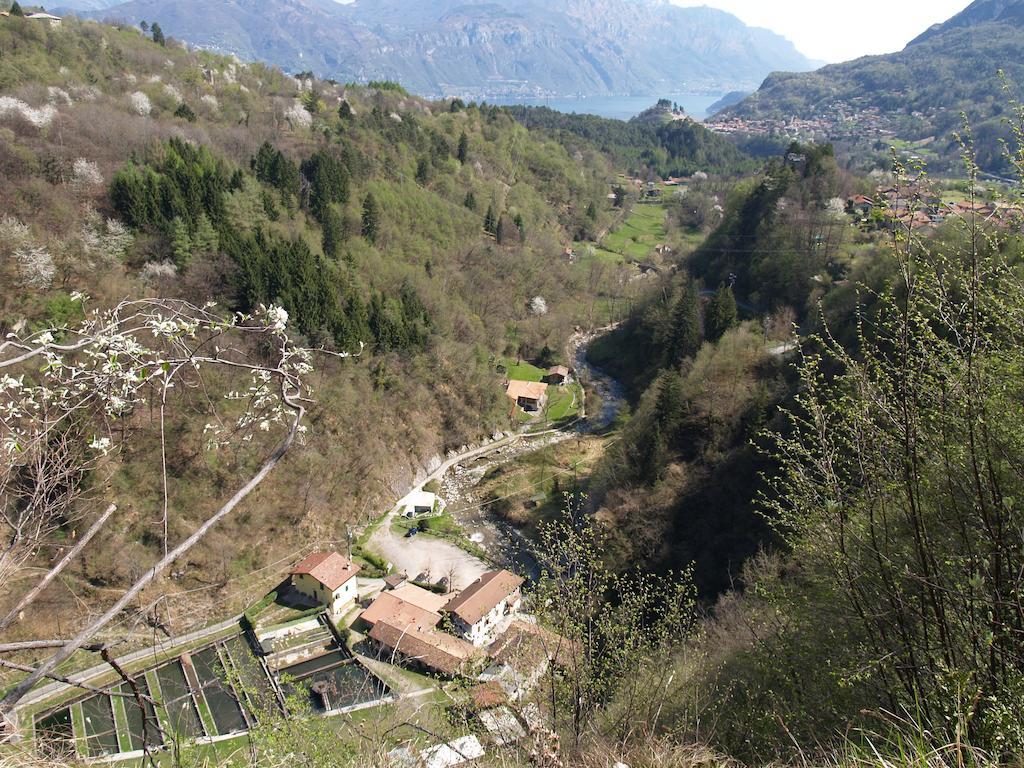 Agriturismo La Vecchia Chioderia Grandola ed Uniti Eksteriør bilde