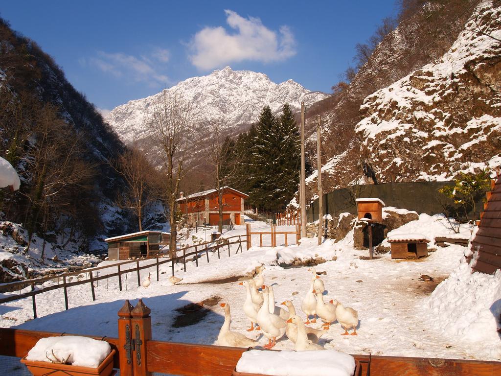 Agriturismo La Vecchia Chioderia Grandola ed Uniti Eksteriør bilde